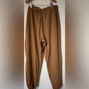 Aritzia Babaton Dexter pants